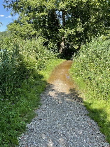 Um den Ilmensee