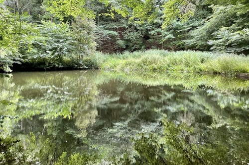 Rund um den Plöner See