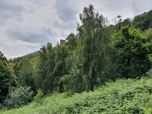 WaldSchlössel - Heidenschuh - Martinsturm - Landeck