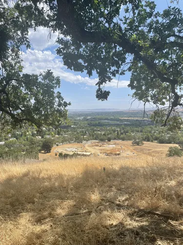 10 Best Hikes and Trails in Pleasanton Ridge Regional Park | AllTrails