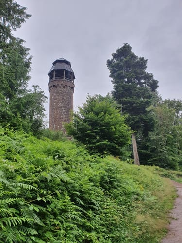 WaldSchlössel - Heidenschuh - Martinsturm - Landeck