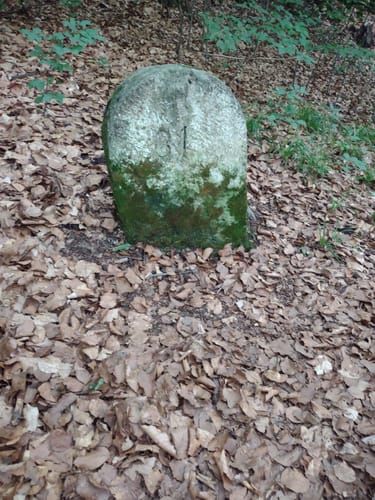 Ith-Hils-Weg Etappe 5: Delligsen - Duingen