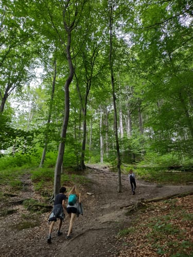 Ith-Hils-Weg Etappe 5: Delligsen - Duingen