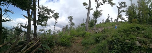 Hauzenberg - Staffelberg