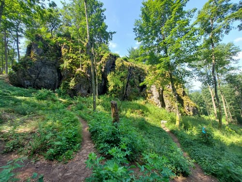 Gerolsteiner Keltenpfad