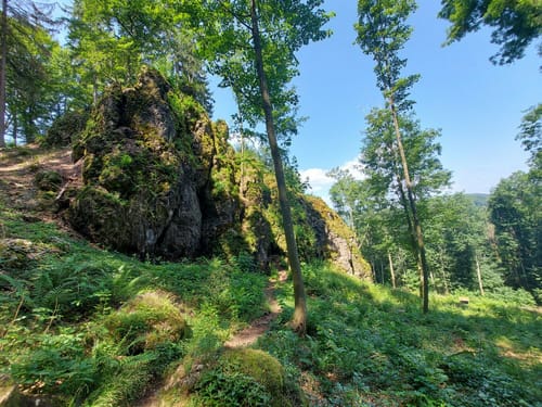 Gerolsteiner Keltenpfad