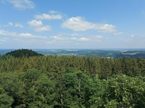 Eifelsteig Etappe 10: Gerolstein - Daun