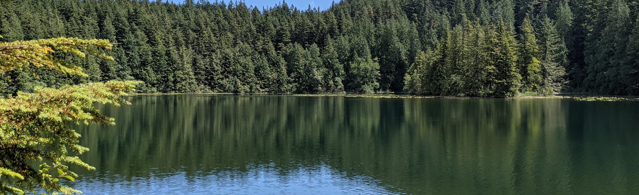 Chadsey Lake: 759 Reviews, Map - British Columbia, Canada | AllTrails