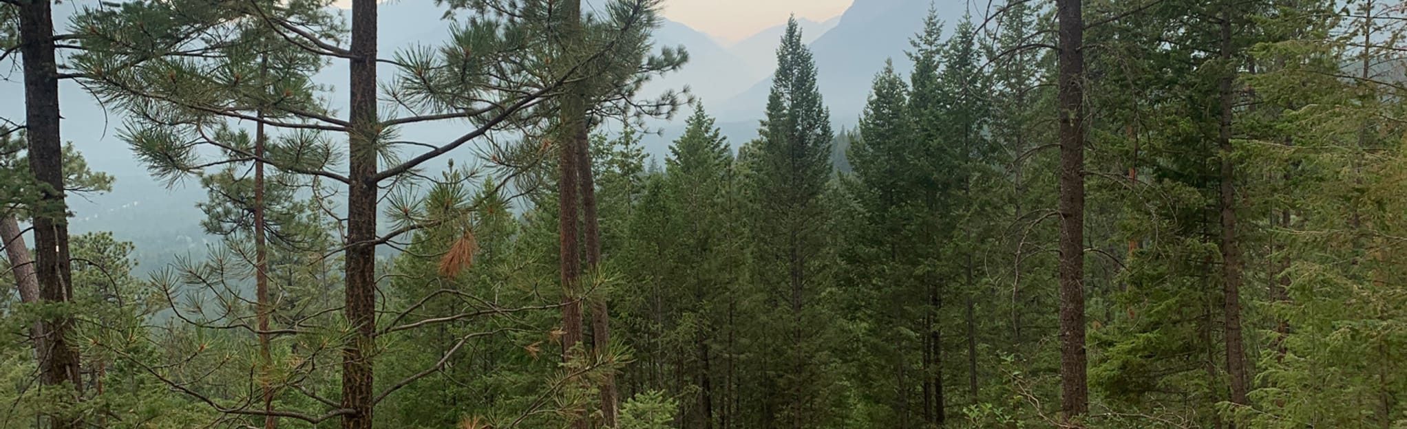 Mr. Toad Loop 5 Fotos Colúmbia Britânica, Canadá AllTrails