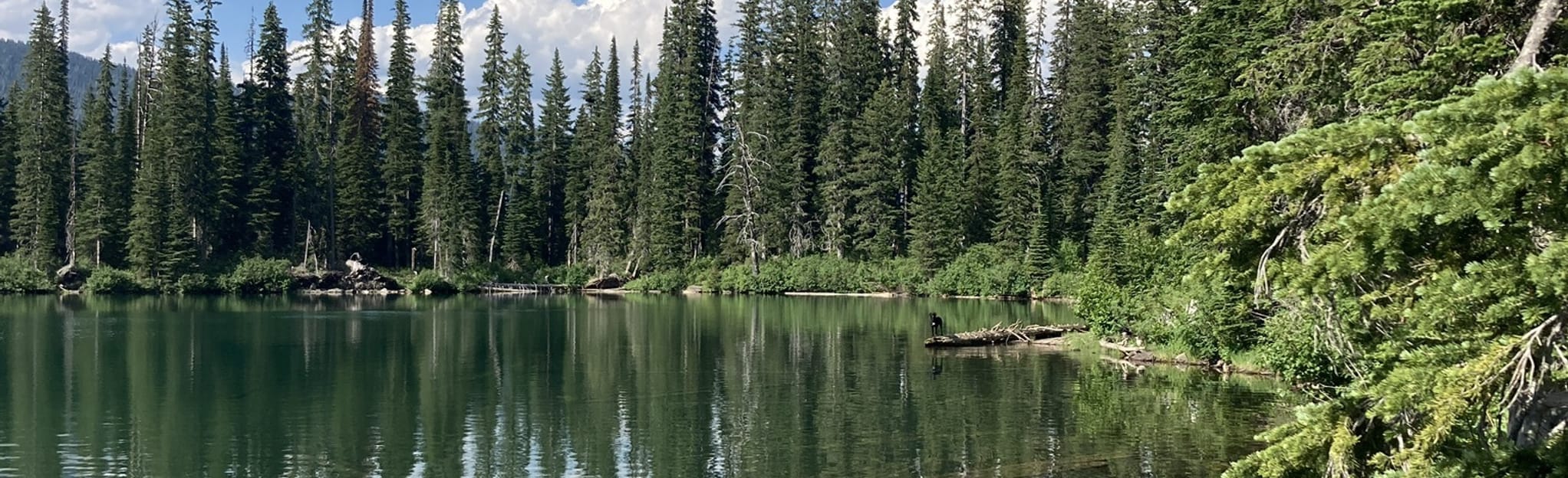 Escape to Tranquility: Little Therriault Lake Campground, Montana