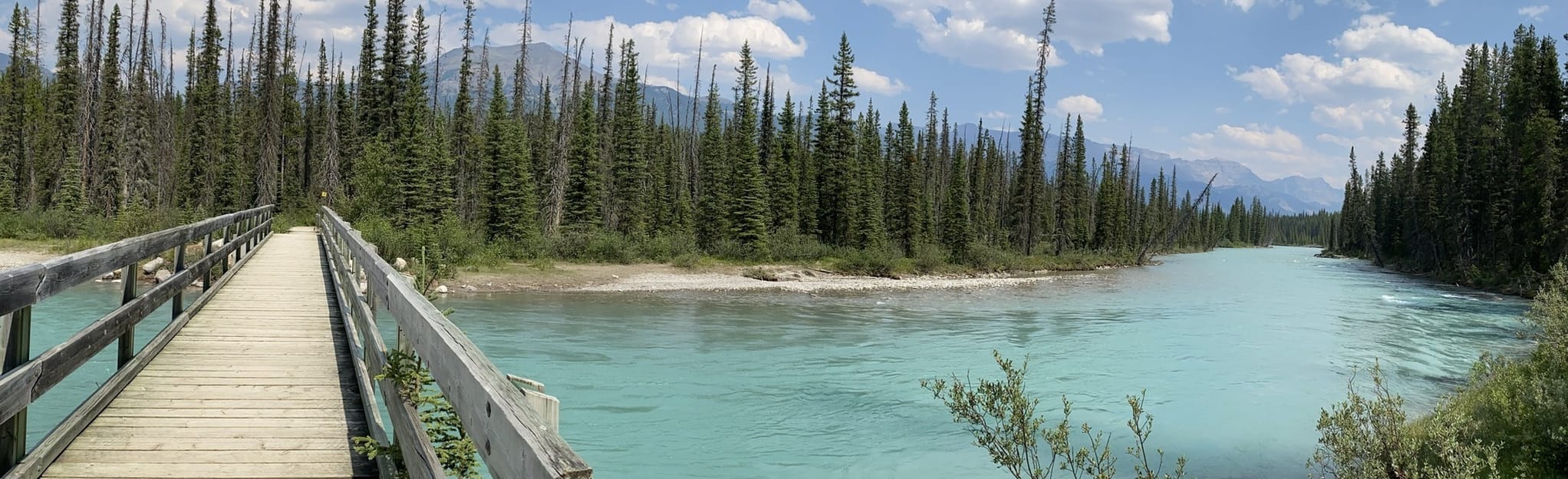Riverside Loop, Alberta, Canada - 98 Reviews, Map | AllTrails