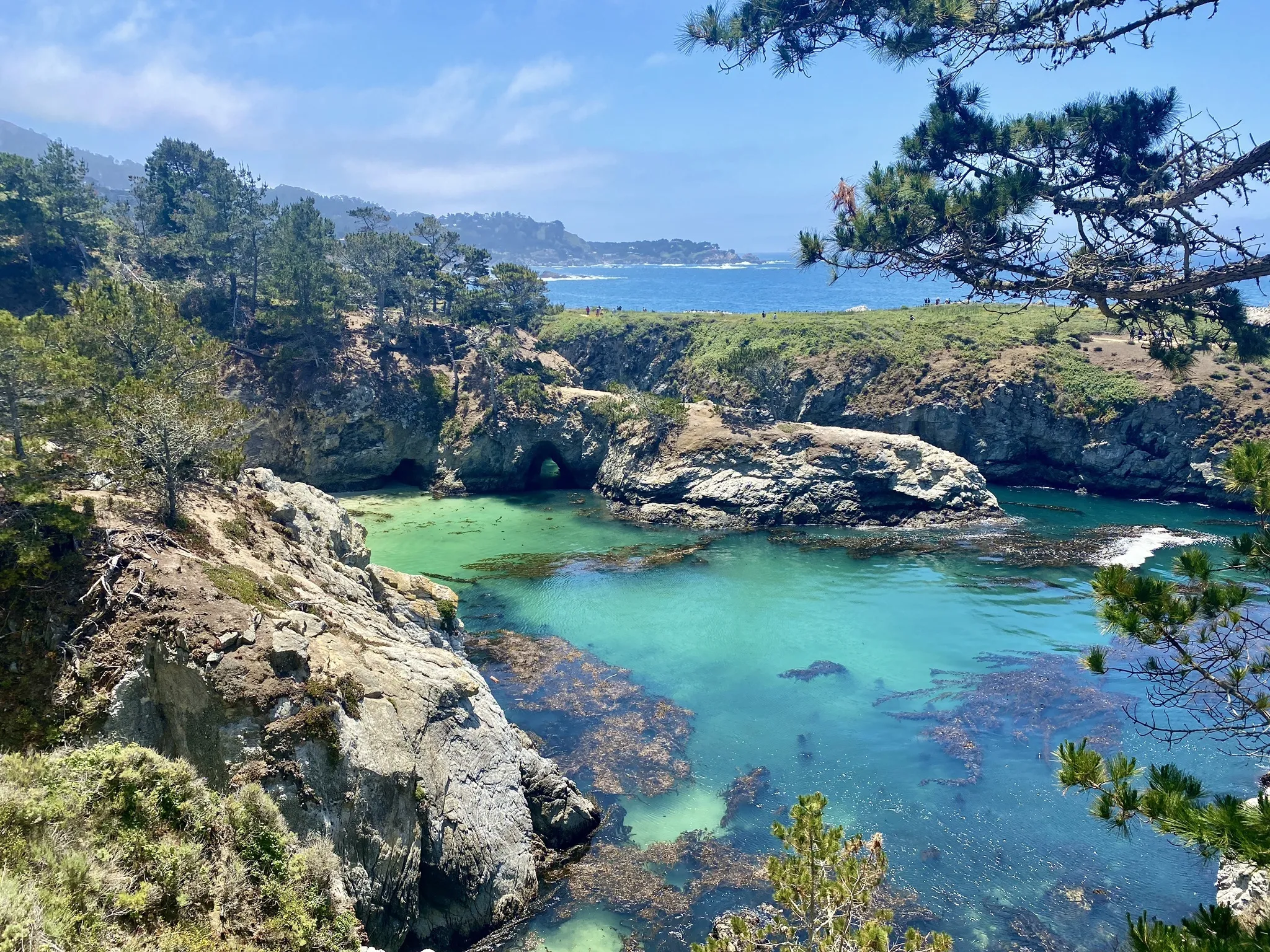 Point Lobos Loop