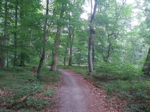 Welterbeweg
