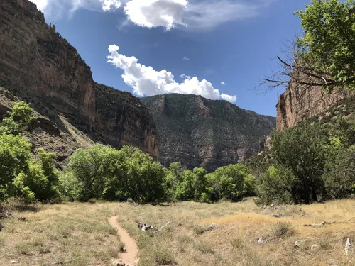 Best hikes in on sale dinosaur national monument