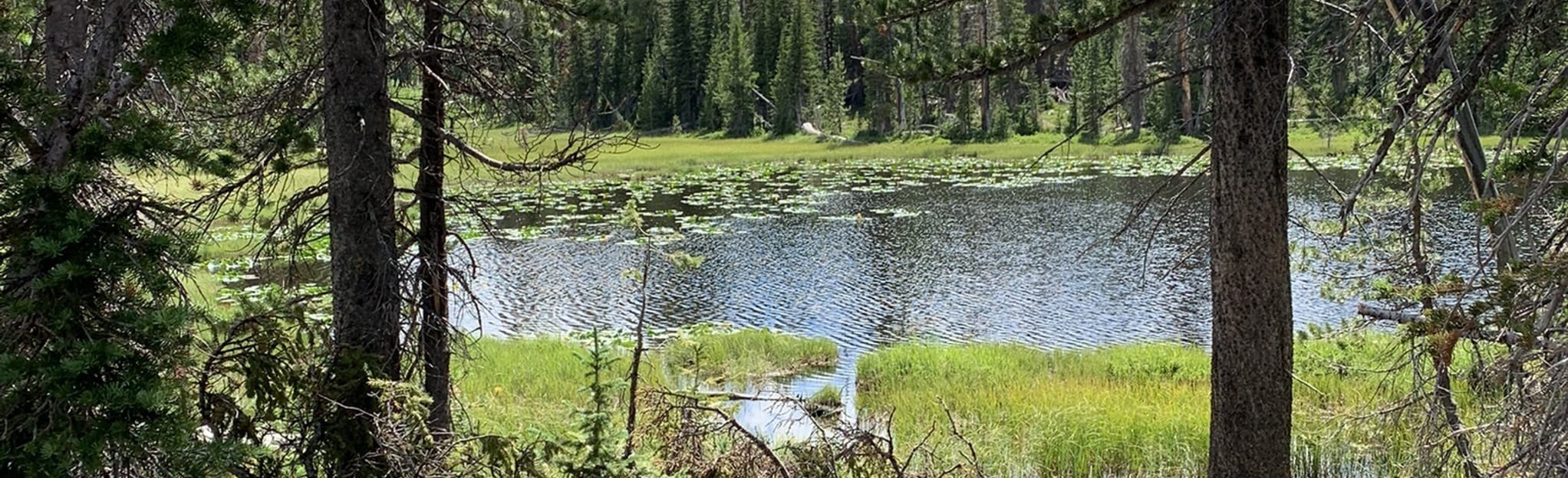 Clyde Lake Loop 1224 Reviews, Map Utah AllTrails