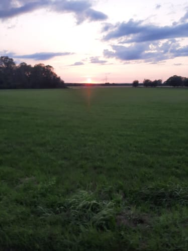 Mountainbiketour Osterburg