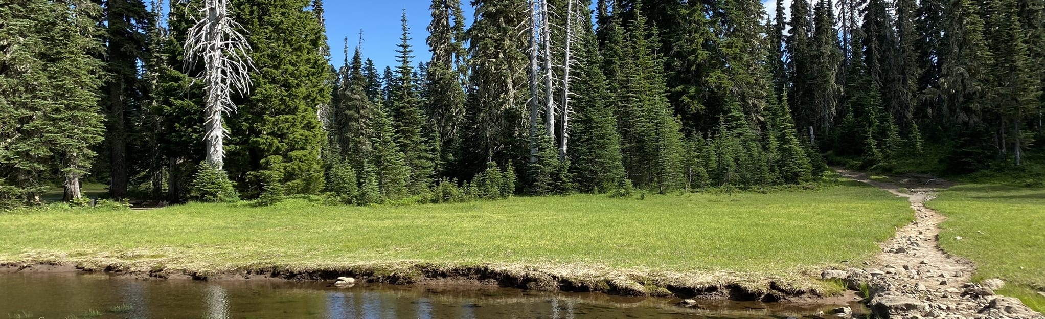 Sand Lake Trail, Washington 13 Reviews, Map AllTrails