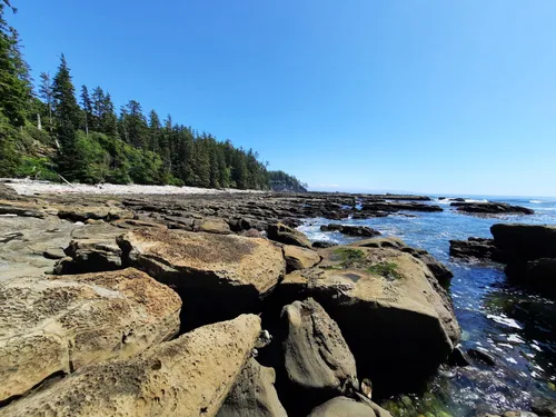 10 Best Hikes And Trails In Pacific Rim National Park Reserve | AllTrails