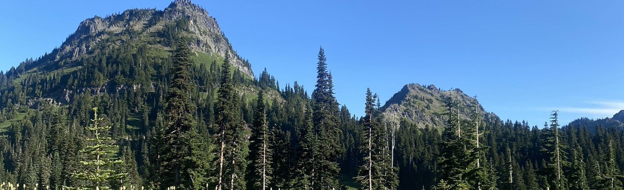 Tipsoo Lake To Cougar Lakes Loop, Washington - 26 Reviews, Map 