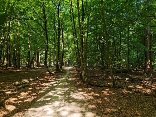 Alter Mecklenburger Weg [CLOSED]