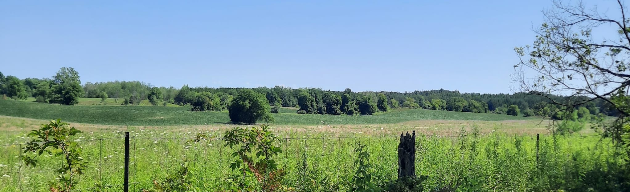 Ballycroy Tract 28 foto's Ontario, Canada AllTrails