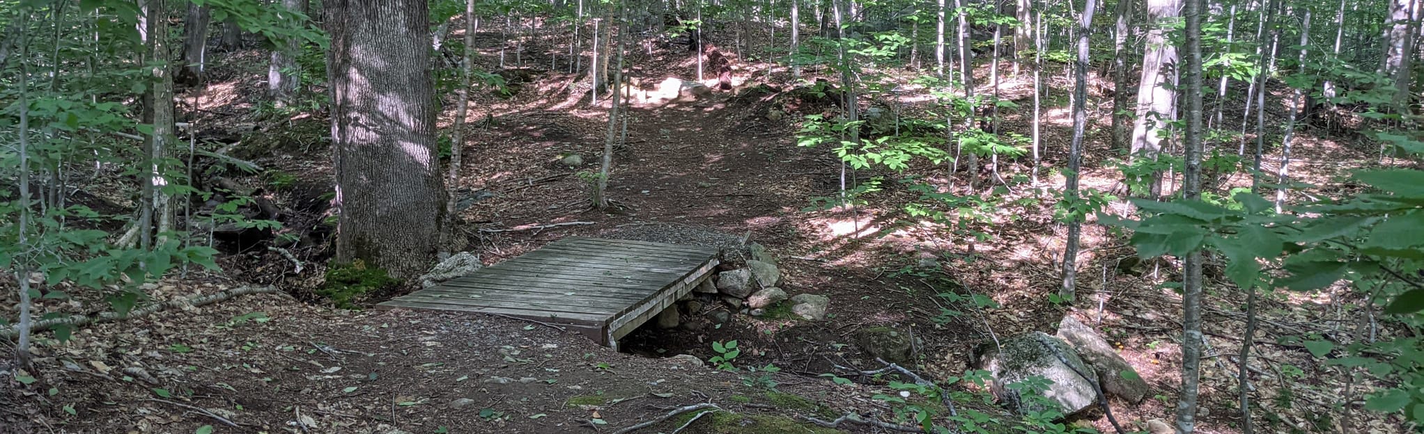 Clear Brook Trail, New Hampshire 69 Reviews, Map AllTrails