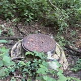 Joe Wheeler Red Loop, Alabama - 8 Reviews, Map | AllTrails