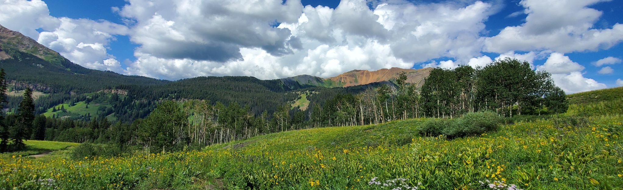 Rustler's Gulch: 746 Reviews, Map - Colorado | AllTrails