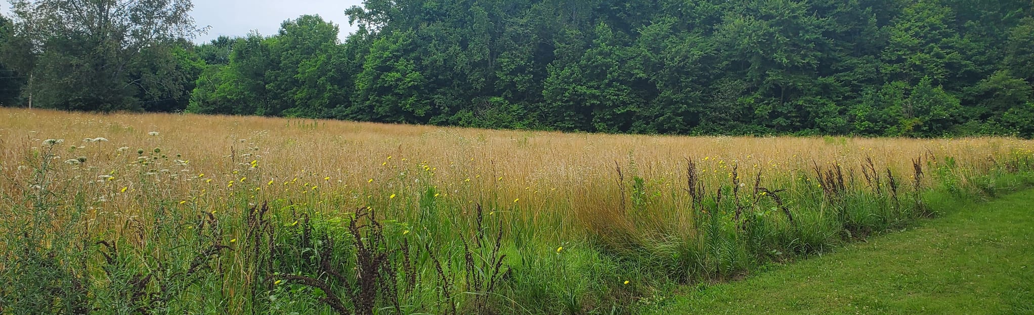 White House Greenway 365 Reviews, Map Tennessee AllTrails