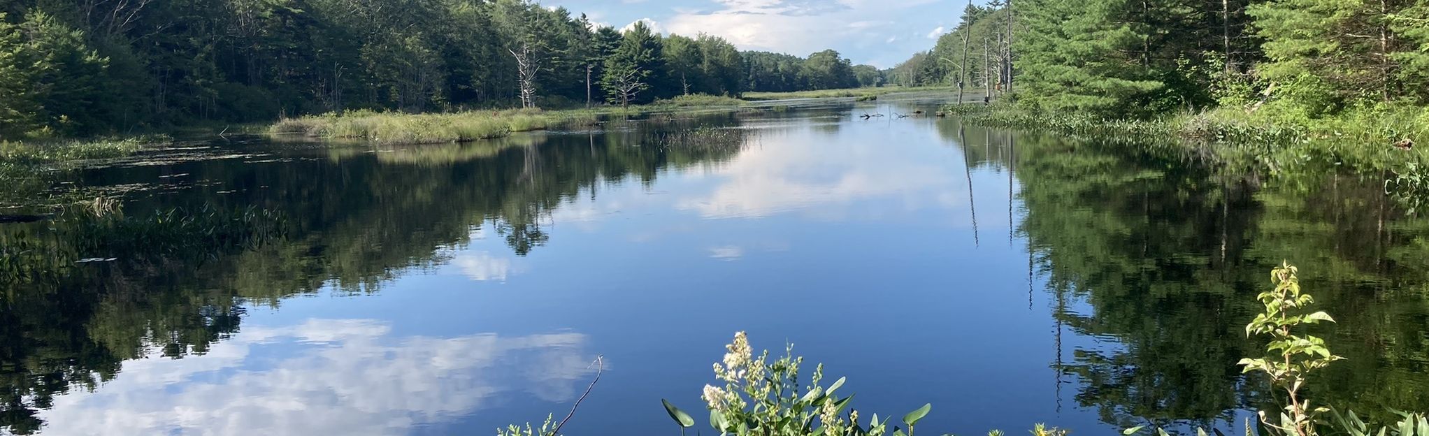 Lobster Cove Meadow and Appalachee Preserve Loop Maine AllTrails