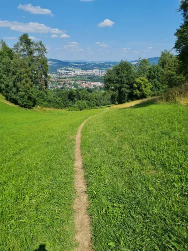 10 Best Trails, Walks, and Paths in Linz | AllTrails