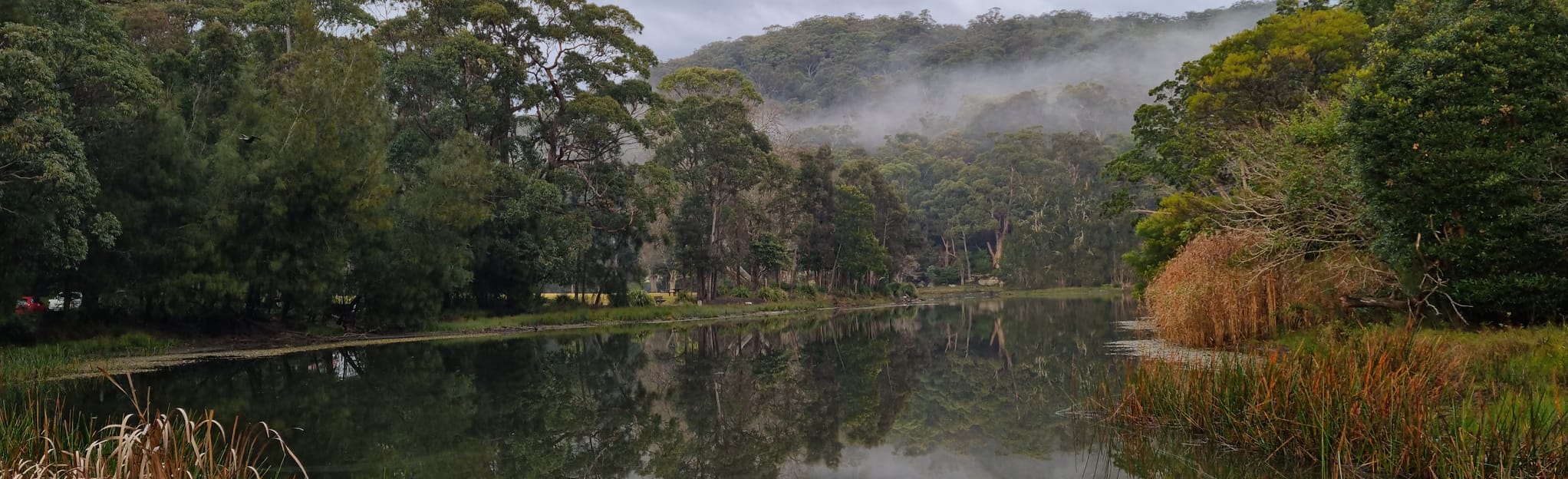 Royal National Park via Sir Bertram Stevens Drive and Lady Wakehurst