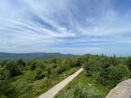 Plättig-Bühlerhöhe - Brautstein