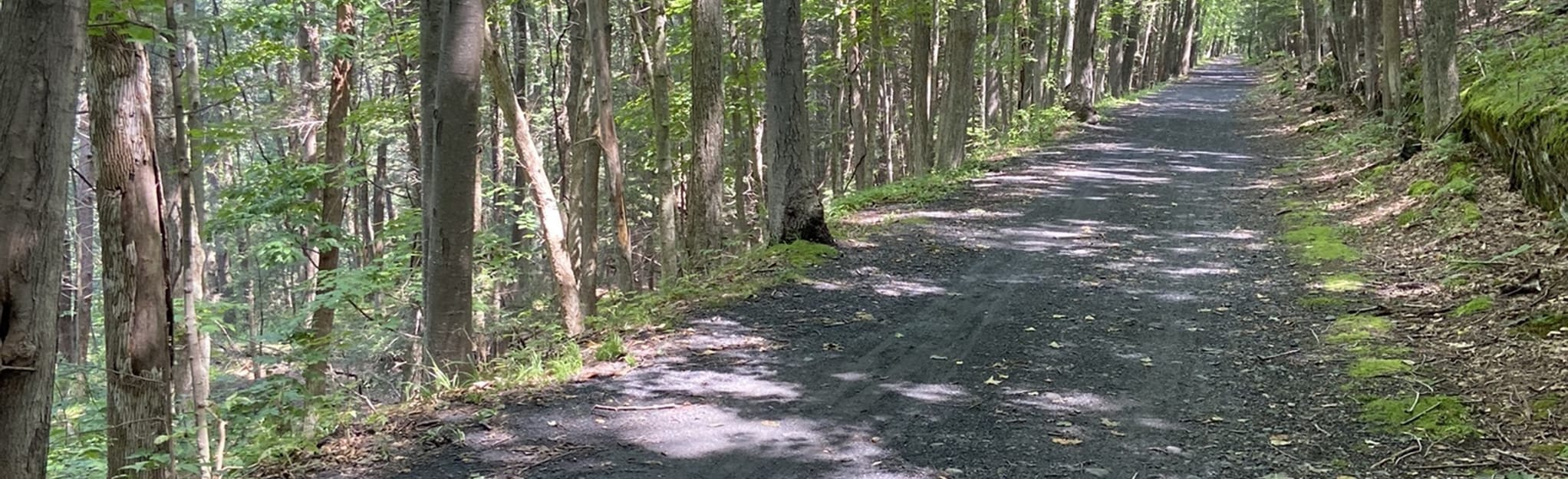 Marbletown OW Rail Trail 98 Reviews, Map New York AllTrails