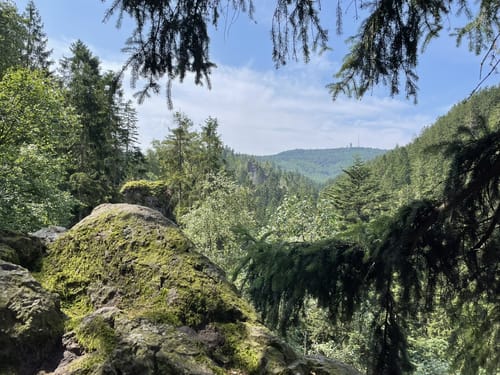 Bad Tabarz - Bärenbruchsgrund - Felsental