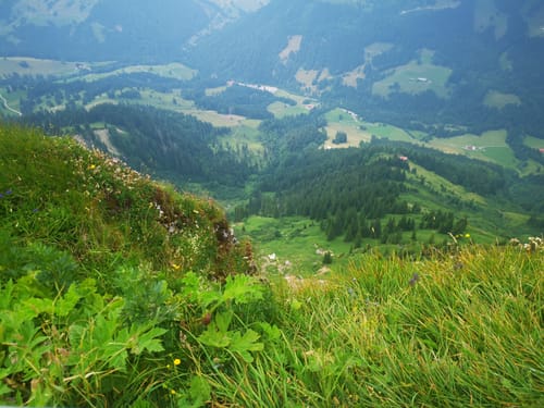 Hochgrat Panoramarunde