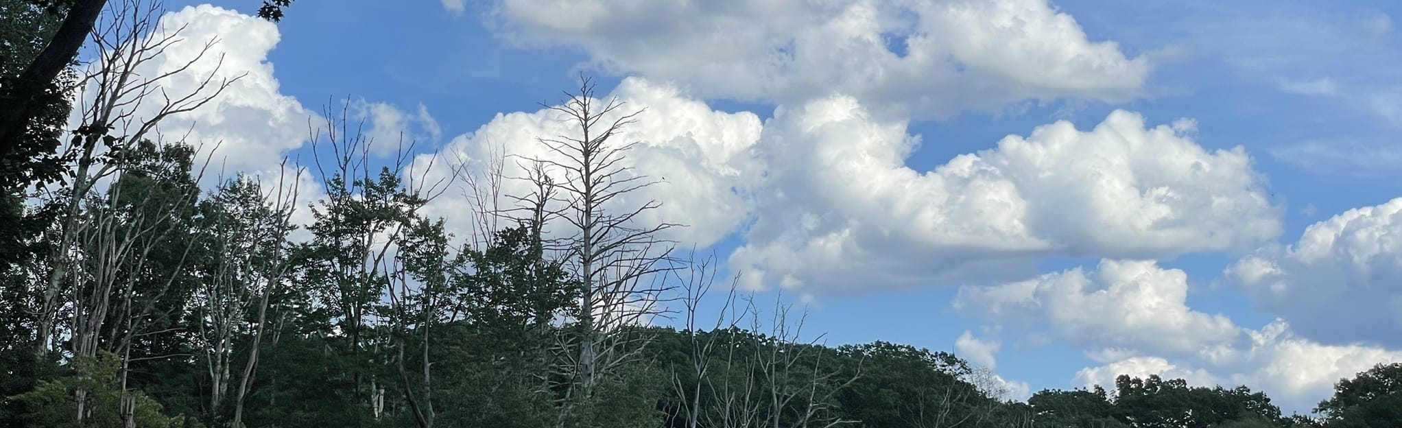 Marlborough to Cider Knoll Trail, Massachusetts 19 Reviews, Map