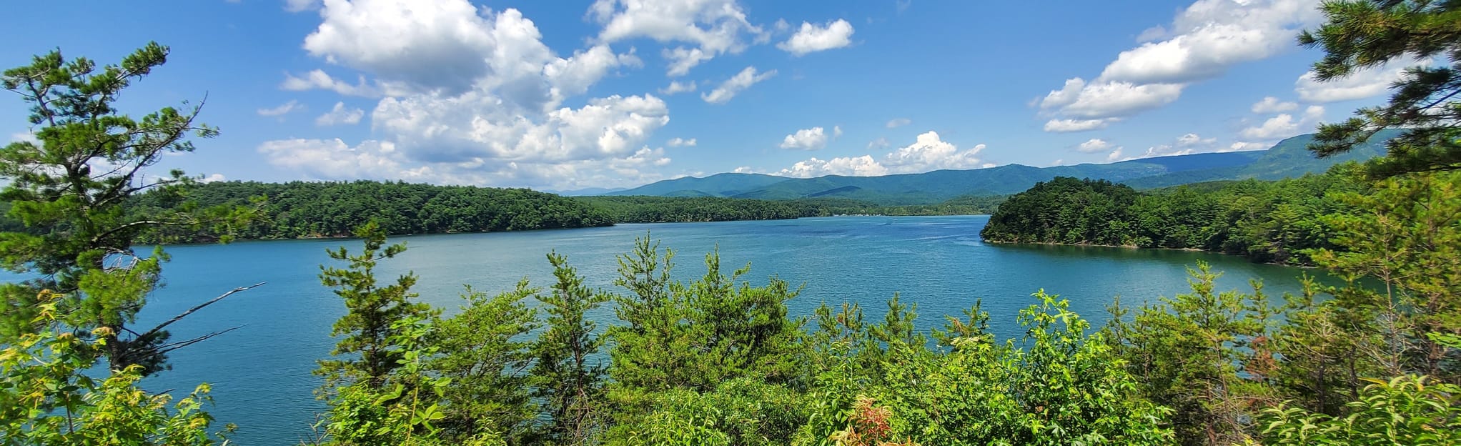 Fonta Flora Trail Loop - North Carolina  AllTrails