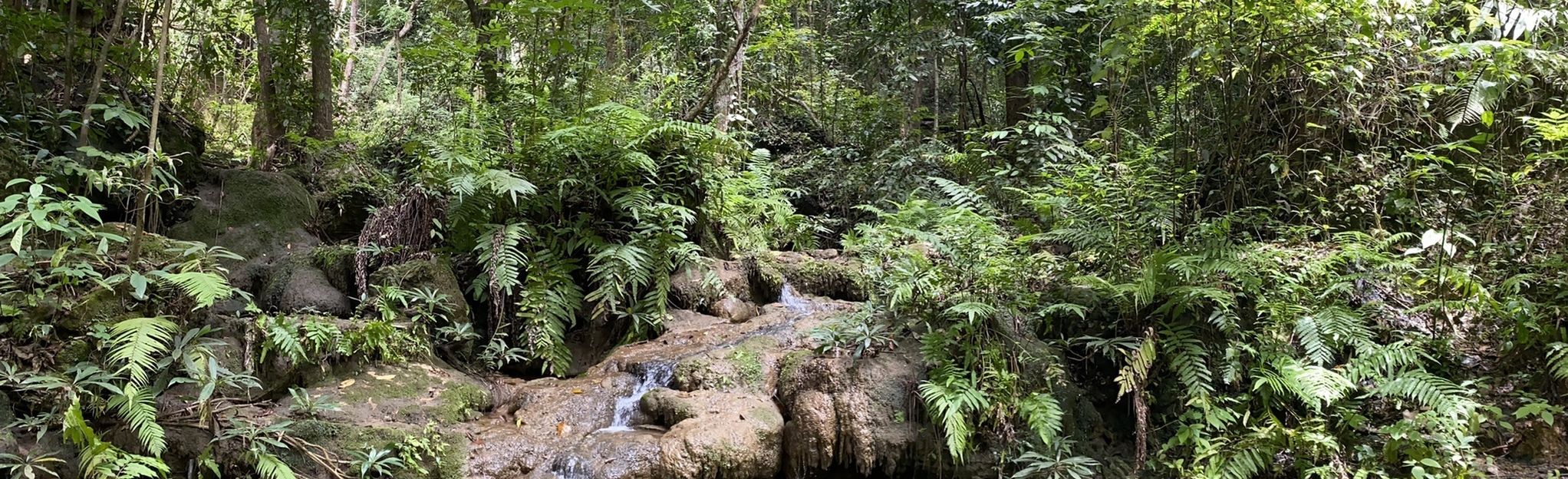 Pan-Din-Vid Viewpoint - Bua Tong Waterfalls 2, Chiang Mai, Thailand - 4 ...