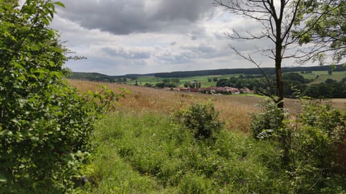 Rund um den Singer Berg