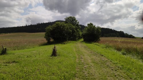 Rund um den Singer Berg