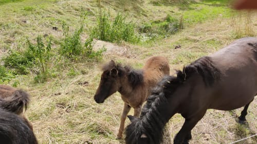 Rund um den Singer Berg