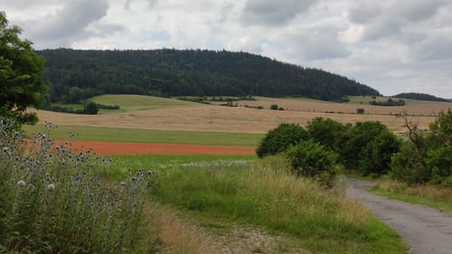 Rund um den Singer Berg
