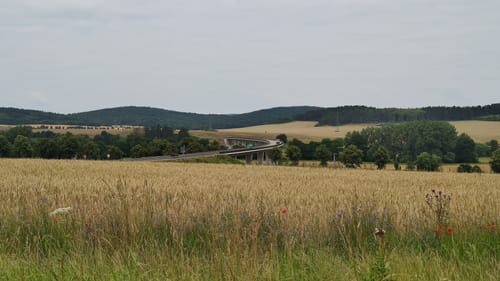 Rund um den Singer Berg