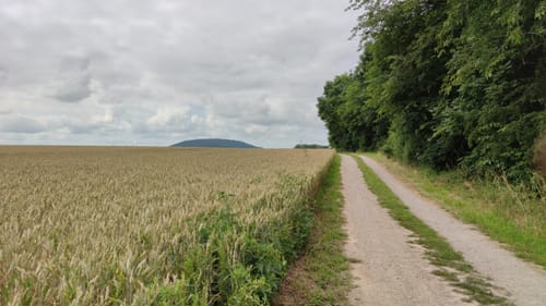 Rund um den Singer Berg