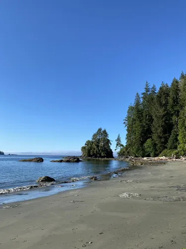 10 Best Trails and Hikes in Port Renfrew | AllTrails