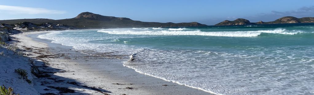 can you take dogs to lucky bay