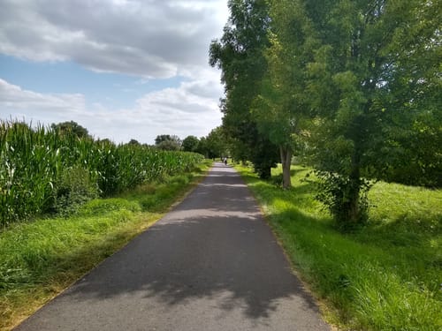 Unstrut-Radweg Etappe 2: Mühlhausen - Bad Langensalza