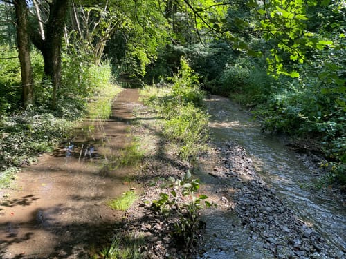 Rund ums Hesperbachtal