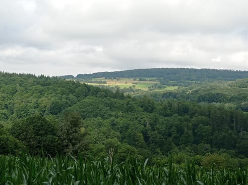 Schwarzenfels - Eckarts